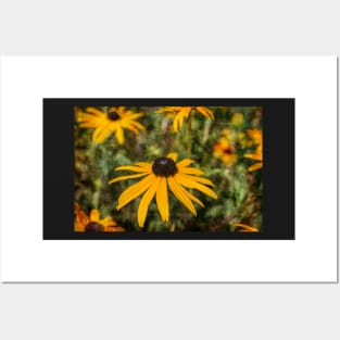 Black-eyed Susan Posters and Art